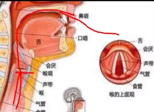 认识唱歌声音通道