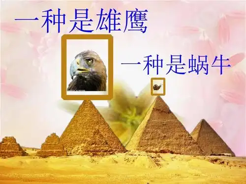 一种是雄鹰 一种是蜗牛