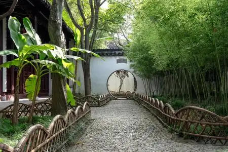 中国古风建筑苏州园林庭院景观照片