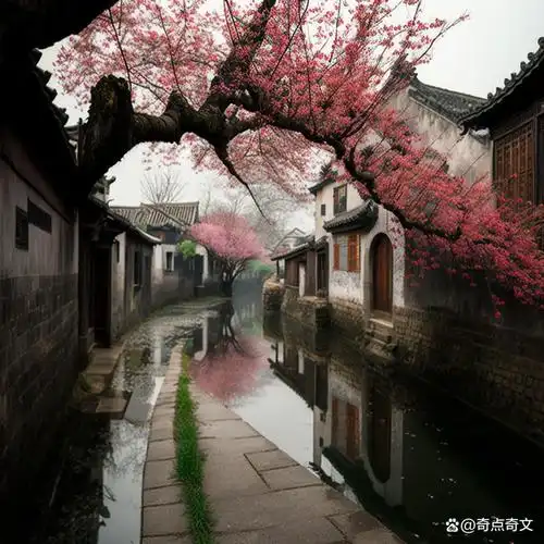 江南小镇,你真的不去看一次吗?