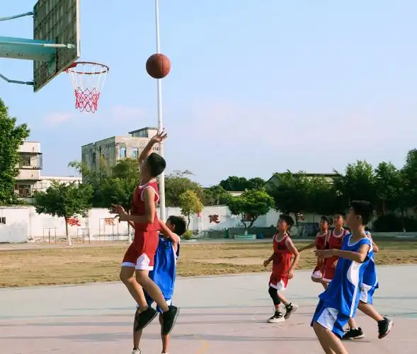 2018惠城区马安镇首届"忠孝杯"小学生篮球赛
