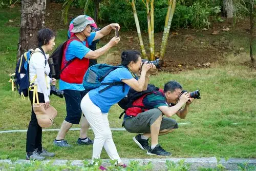 后海河摄影花絮