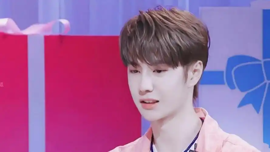 小清新男神王一博休闲粉色衬衫写真,高清壁纸图片,大陆明星-回车桌面