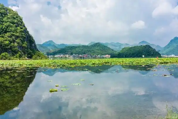 探秘云南文山:普者黑旅游景区的魅力