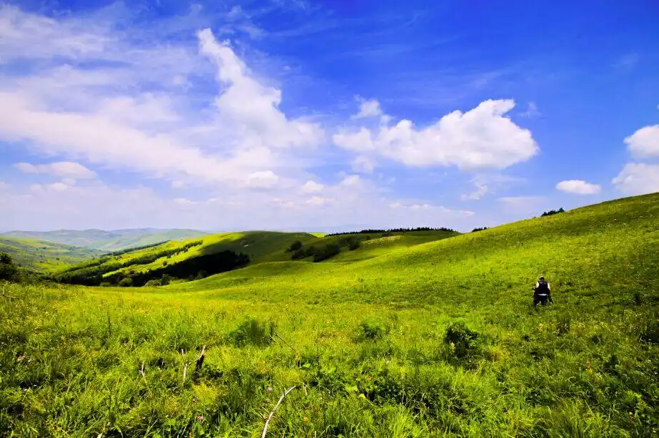 饮马池高山草甸风景名胜区