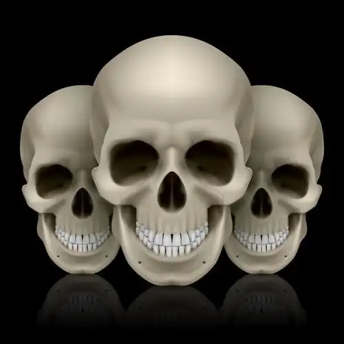 三个白色的骷髅矢量插画