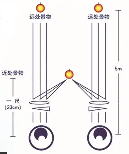 先生提出的"附加基底向内三棱镜的低度凸透镜防治近视方法"而设计
