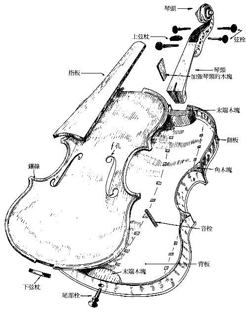 大提琴的内部构造图,谁能发一张给我啊