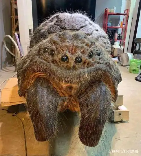 得知巨型蜘蛛因核辐射产生了变异,所以才变得异常巨大