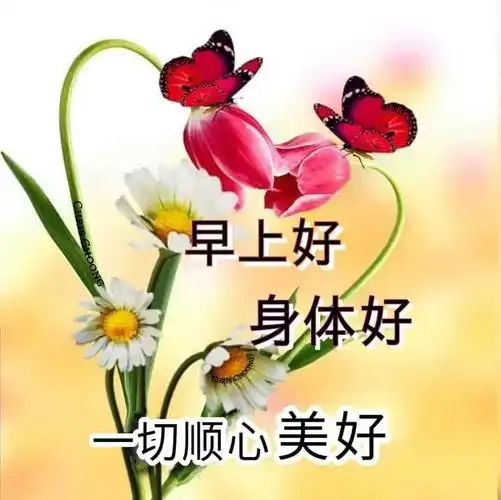 早上好祝你健康平安快乐吉祥