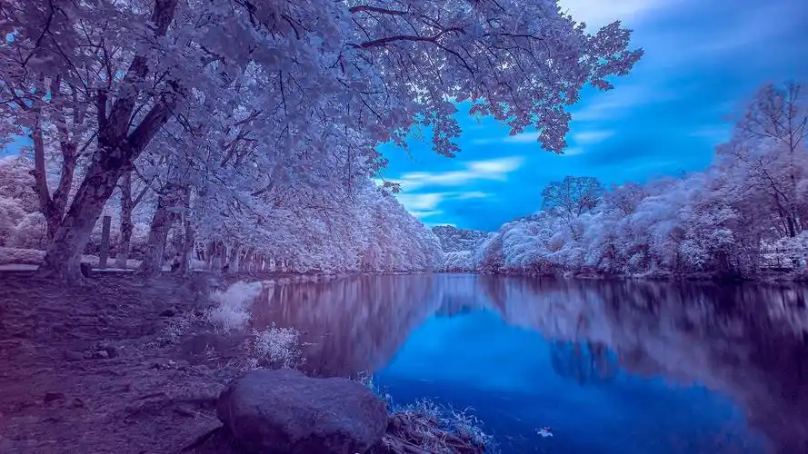 浪漫花溪风景高清桌面壁纸