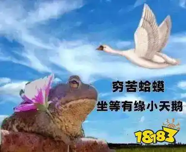 那我飞走了2021跨年夜有空吗2021跨年有空吗天鹅表情包2021跨年夜有空