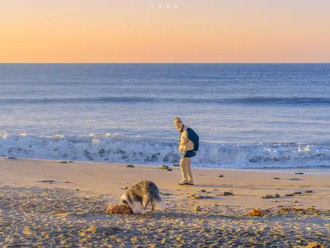 有那些很文艺的电脑桌面背景