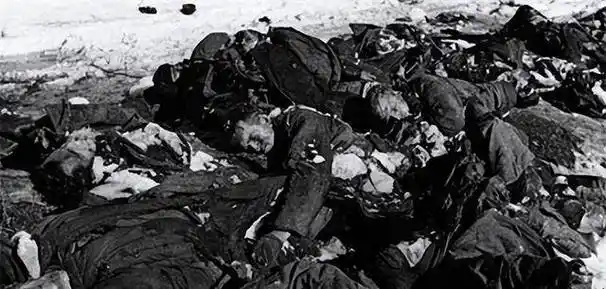 原创看着上甘岭遍地敌尸8连4班提出了一个大胆想法最终全员生还