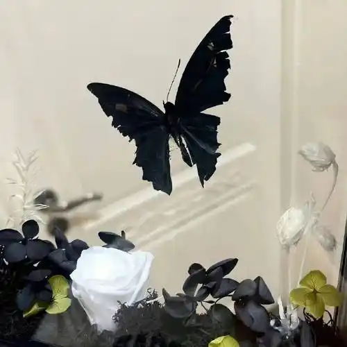 背景图 | 极致高冷小众高级背景图 676767