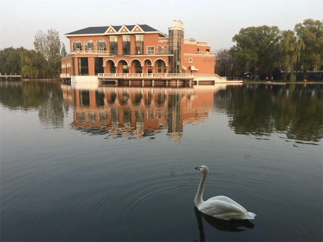 紫玉山庄度假村与动物游玩嬉戏北京小奈良值得打卡收藏