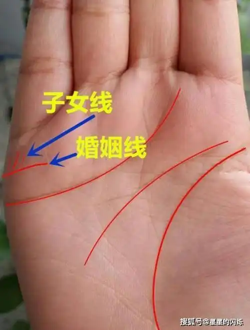 手相中子女线,看看你生男生女几率多高_手机搜狐网
