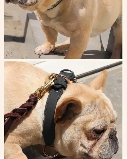 狗项圈中型犬金毛拉布拉多泰迪法斗小型犬刻字宠物饰品大型犬脖圈红色