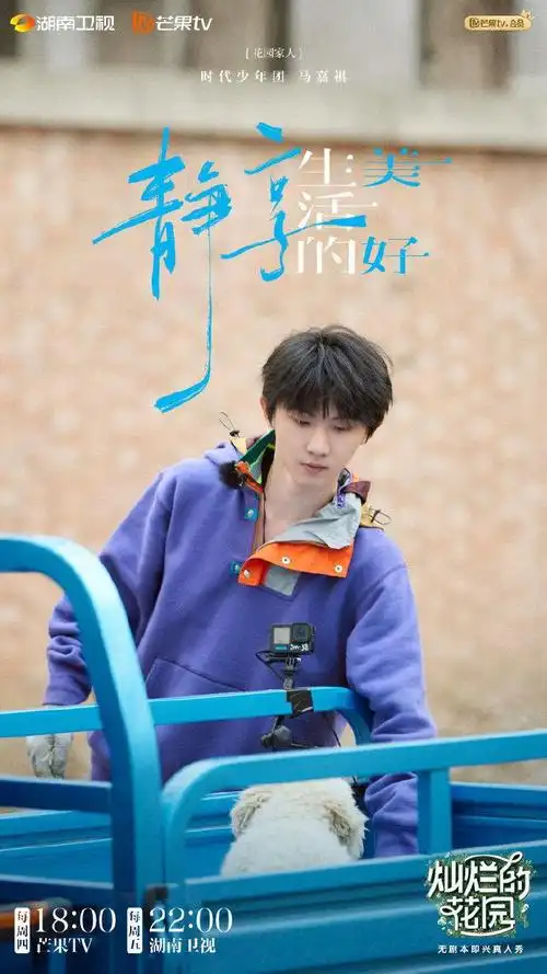 马嘉祺紫色多巴胺卫衣造型,满分青春感的小马哥