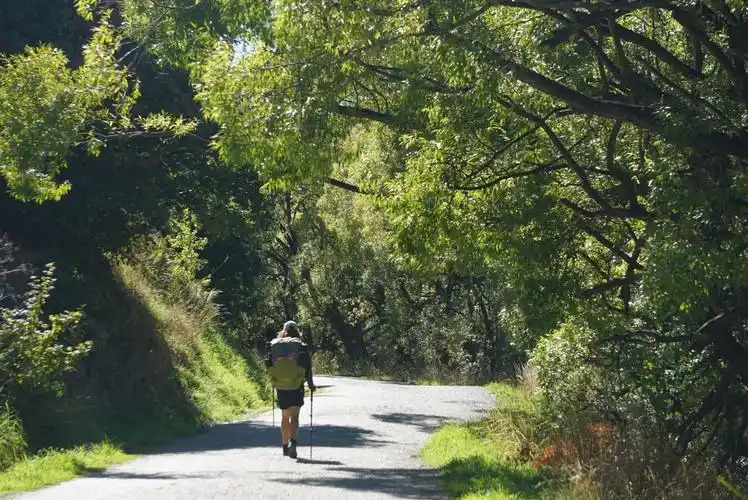 拍个徒步者的背影,年纪不轻了,很酷很精神