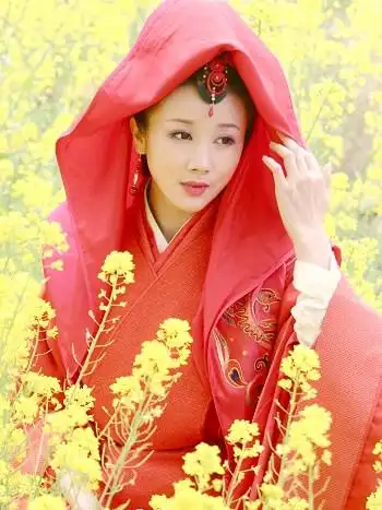 《孔雀东南飞》女主角刘兰芝(孙菲菲 饰)