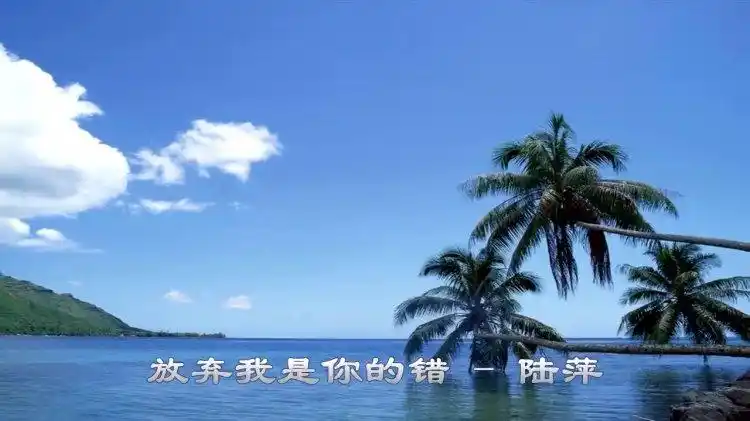 陆萍一首情歌《放弃我是你的错》超好听!