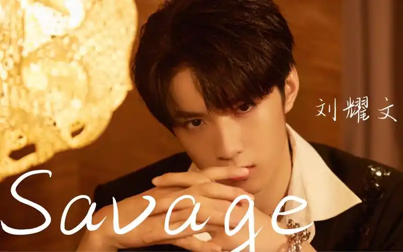 savage 16岁最帅男高中生的冰山一角 刘耀文 恭喜他今天16岁啦,生日