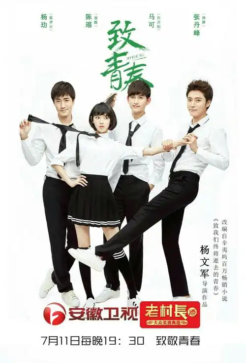 张丹峰,马可,陈瑶,杨玏《致青春》(电视剧)