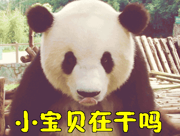 【小宝贝】gif动态图片 - 小宝贝动图表情包下载 - soogif动图