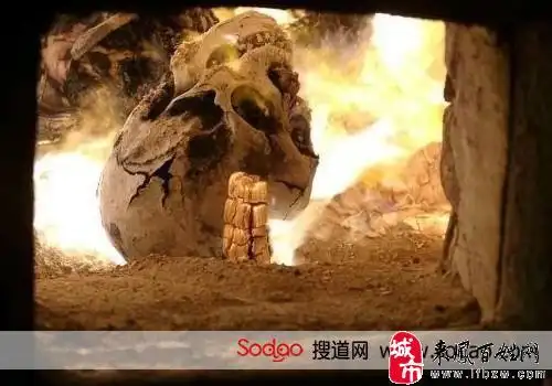 火化全过程胆小勿入