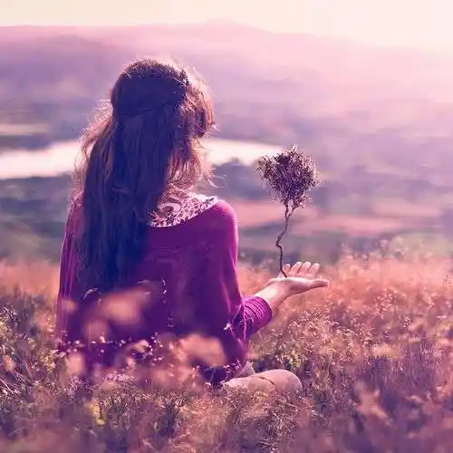 一个女生拿着玫瑰的背影的头像