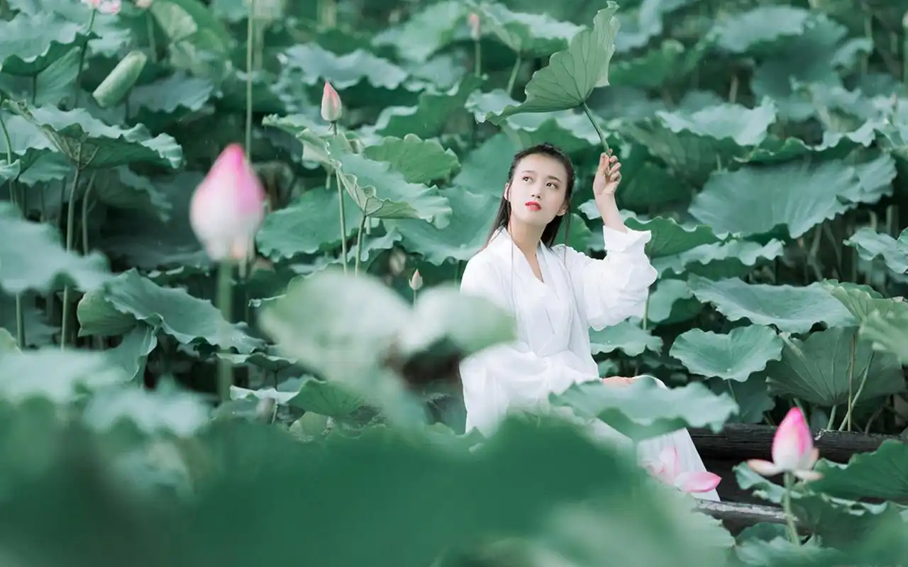 气质古风美女静谧荷塘唯美意境写真高清壁纸