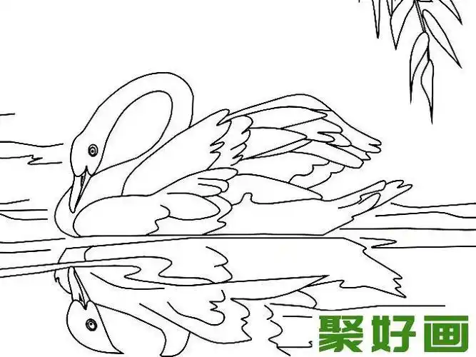 画动物鹅的画法鹅7白鹅倒影简笔画水中的倒影简笔画怎么画水中的倒影