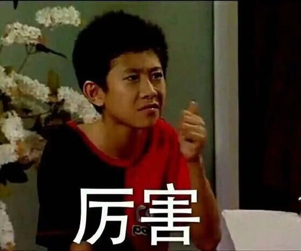 家有儿女刘星表情包   #搞笑