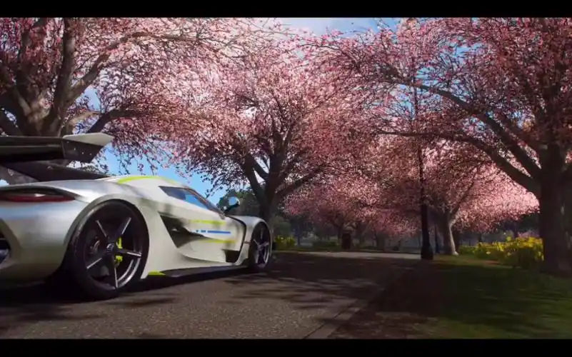 地平线的樱花树