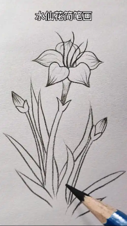 画画原来如此简单水仙花简笔画来啦喜欢的收藏哦