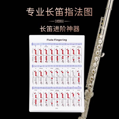 夏奇拉(sheikki) 专业长笛指法表 笛子乐器练习图五线谱自学习进阶
