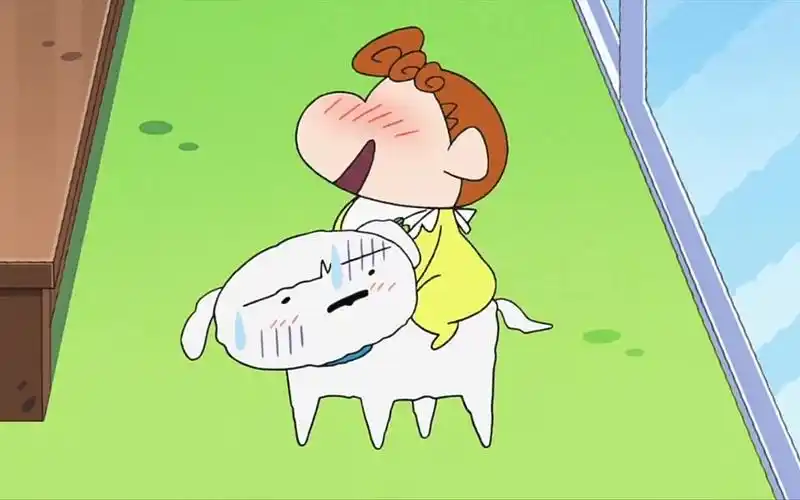 小葵的可爱日常之跟小白哥哥愉快玩耍的小葵(日语)