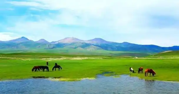 赵无恤的姐姐是代王夫人.