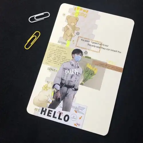 r1se焉栩嘉73追星手帐