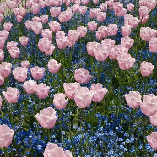 背景图 | 换一张好看的背景图呀! 676767