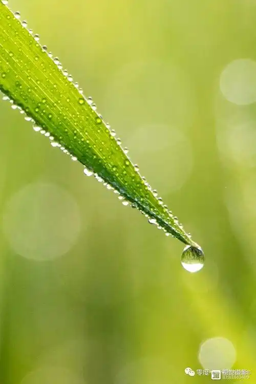 1080_1619竖版 竖屏