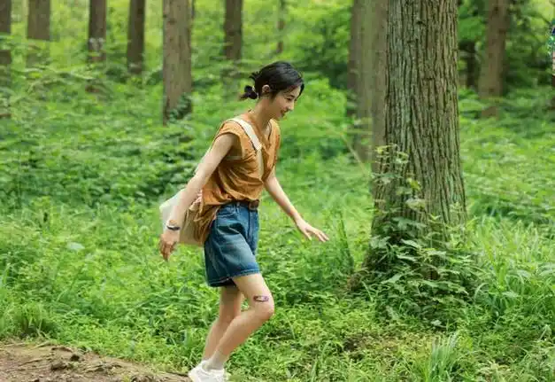 黄磊的"翻车",让《向往的生活》收官彻底被打脸|何炅|杨紫|张艺兴|张