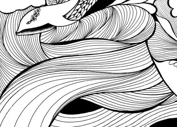 基础手绘|练完这些线条,你画出的线描就无敌了!