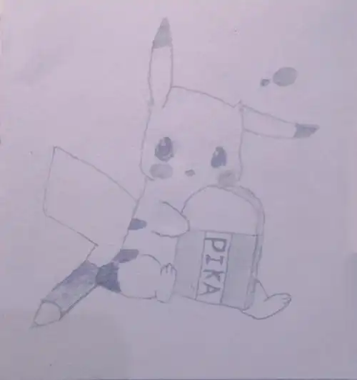 皮卡丘合集1529o2916