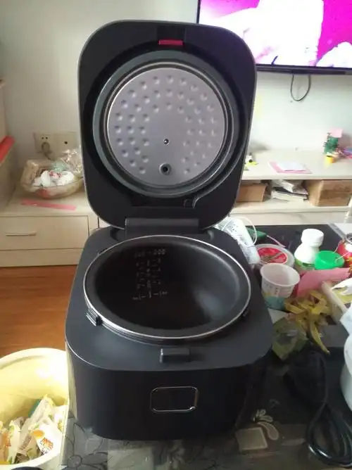 苏泊尔(supor) ih电磁电饭煲迷你多功能小电饭锅2-4人用 球釜内胆智能