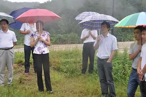 枞阳法院到责任点察看防台风防汛工作