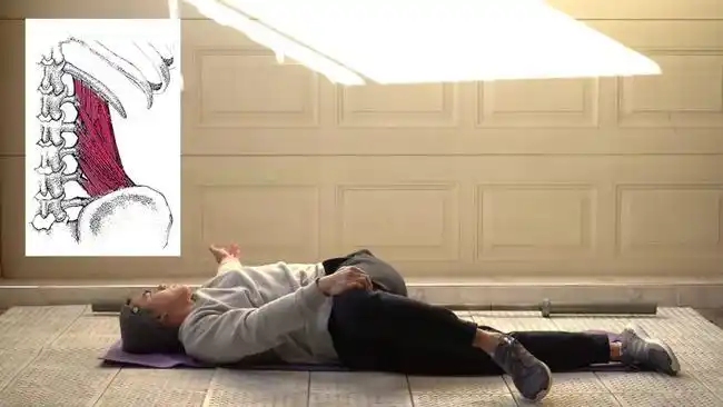 6711个拉伸动作彻底解决腰部疼痛僵硬还你一身轻松