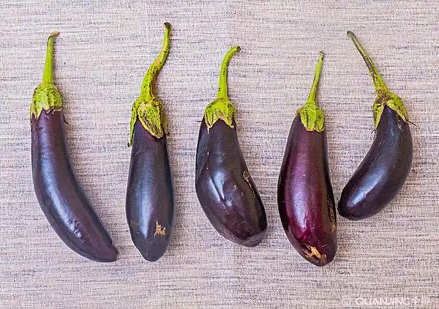 茄子图片_图片大全