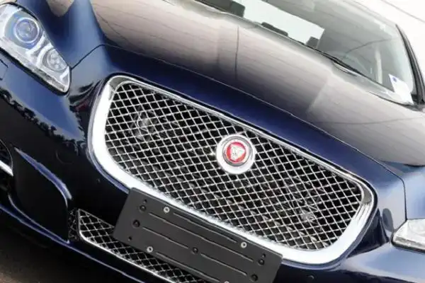 车标是豹子的是什么车